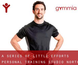 A Series of Little Efforts - personal training studio (North York)