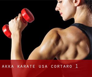 Akka Karate USA (Cortaro) #1