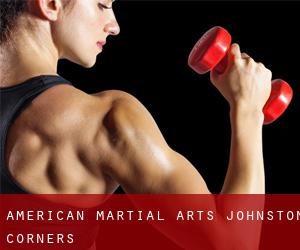 American Martial Arts (Johnston Corners)