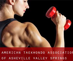 American Taekwondo Association of Asheville (Valley Springs)