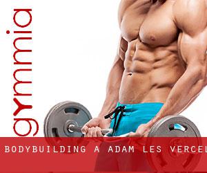 BodyBuilding a Adam-lès-Vercel