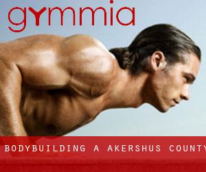 BodyBuilding a Akershus county