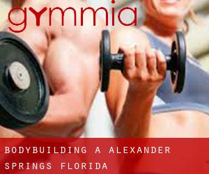 BodyBuilding a Alexander Springs (Florida)