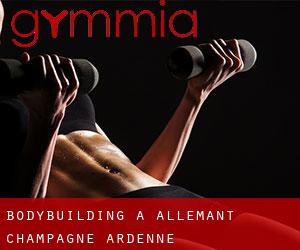 BodyBuilding a Allemant (Champagne-Ardenne)