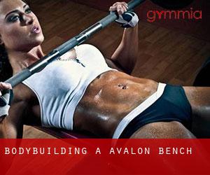 BodyBuilding a Avalon Bench