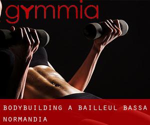 BodyBuilding a Bailleul (Bassa Normandia)