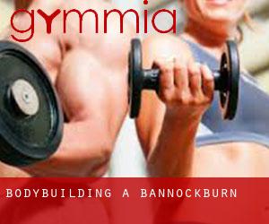 BodyBuilding a Bannockburn