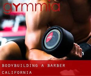 BodyBuilding a Barber (California)
