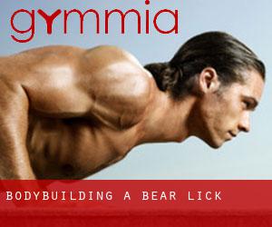 BodyBuilding a Bear Lick