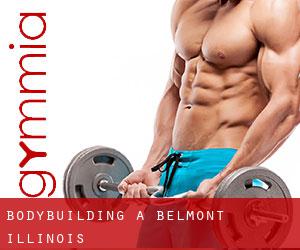 BodyBuilding a Belmont (Illinois)