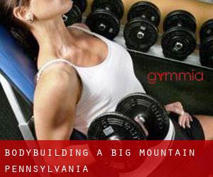 BodyBuilding a Big Mountain (Pennsylvania)