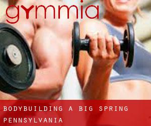 BodyBuilding a Big Spring (Pennsylvania)