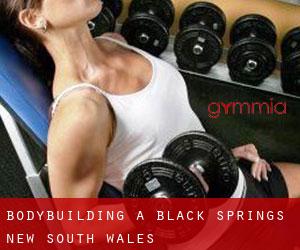 BodyBuilding a Black Springs (New South Wales)