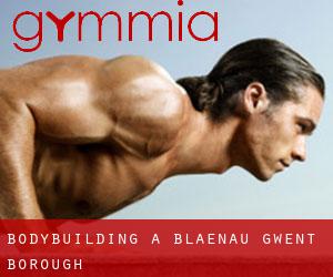 BodyBuilding a Blaenau Gwent (Borough)