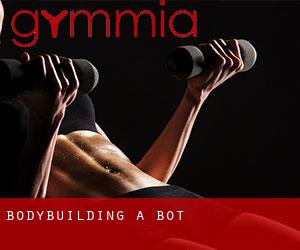 BodyBuilding a Bot