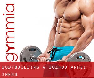 BodyBuilding a Bozhou (Anhui Sheng)