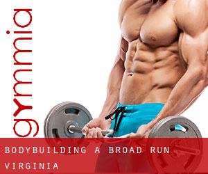 BodyBuilding a Broad Run (Virginia)