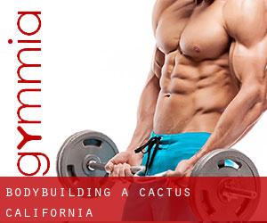BodyBuilding a Cactus (California)