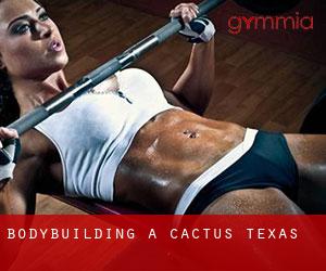 BodyBuilding a Cactus (Texas)