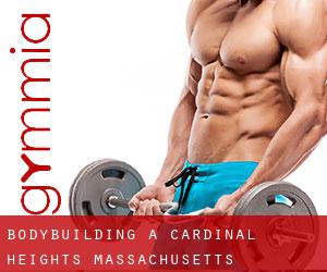 BodyBuilding a Cardinal Heights (Massachusetts)