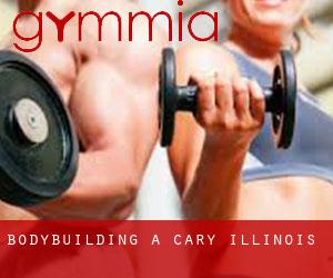 BodyBuilding a Cary (Illinois)