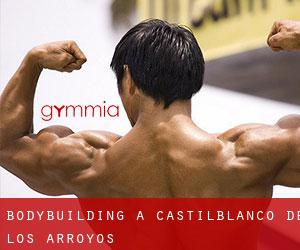 BodyBuilding a Castilblanco de los Arroyos