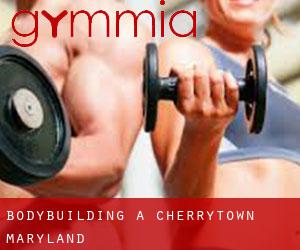 BodyBuilding a Cherrytown (Maryland)
