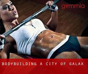 BodyBuilding a City of Galax