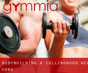 BodyBuilding a Collingwood (New York)