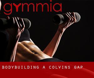 BodyBuilding a Colvins Gap