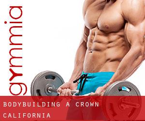 BodyBuilding a Crown (California)