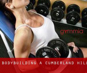 BodyBuilding a Cumberland Hill