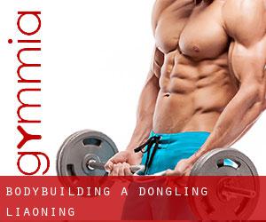 BodyBuilding a Dongling (Liaoning)