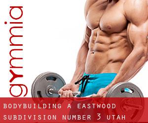 BodyBuilding a Eastwood Subdivision Number 3 (Utah)