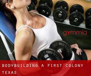 BodyBuilding a First Colony (Texas)