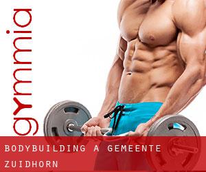 BodyBuilding a Gemeente Zuidhorn BodyBuilding a Gemeente Zuidhorn