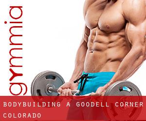 BodyBuilding a Goodell Corner (Colorado)