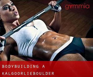 BodyBuilding a Kalgoorlie/Boulder BodyBuilding a Kalgoorlie/Boulder