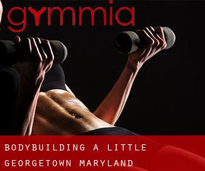 BodyBuilding a Little Georgetown (Maryland)