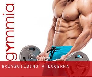 BodyBuilding a Lucerna