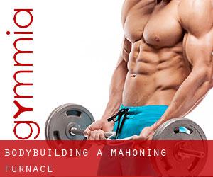 BodyBuilding a Mahoning Furnace BodyBuilding a Mahoning Furnace