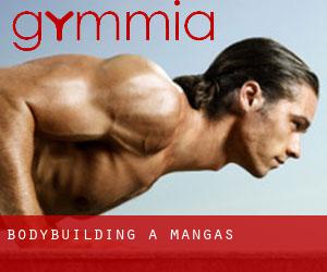 BodyBuilding a Mangas