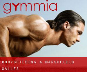 BodyBuilding a Marshfield (Galles) BodyBuilding a Marshfield (Galles)