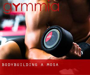 BodyBuilding a Mosa