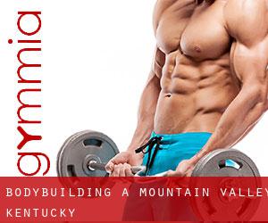 BodyBuilding a Mountain Valley (Kentucky)