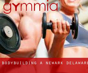 BodyBuilding a Newark (Delaware) BodyBuilding a Newark (Delaware)