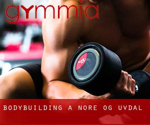 BodyBuilding a Nore og Uvdal