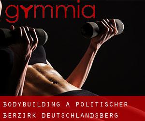 BodyBuilding a Politischer Berzirk Deutschlandsberg