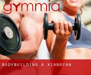 BodyBuilding a Xiangfan BodyBuilding a Xiangfan