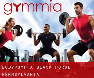BodyPump a Black Horse (Pennsylvania)